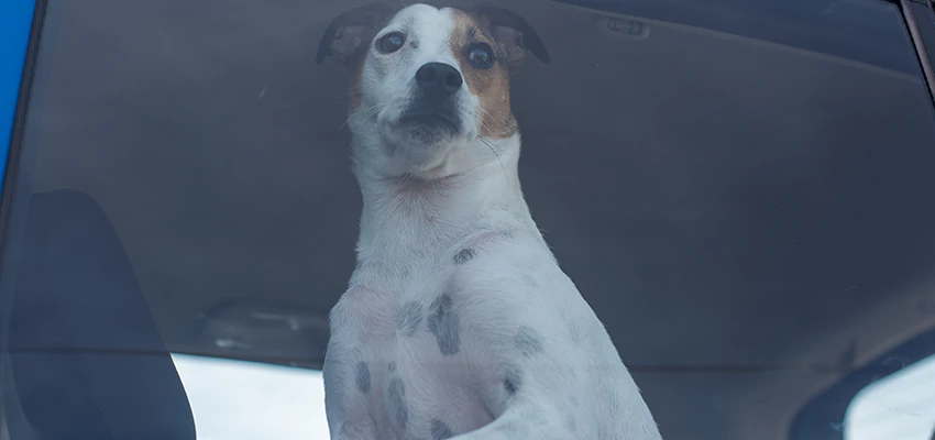 Car Lockout Solutions in Bell, California